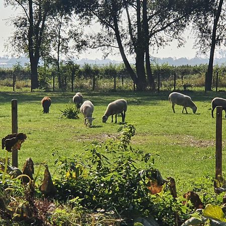 De Zeeuwsche Hoeve Kerkwerve Экстерьер фото