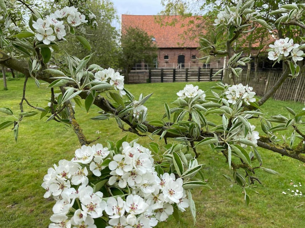De Zeeuwsche Hoeve Kerkwerve Экстерьер фото