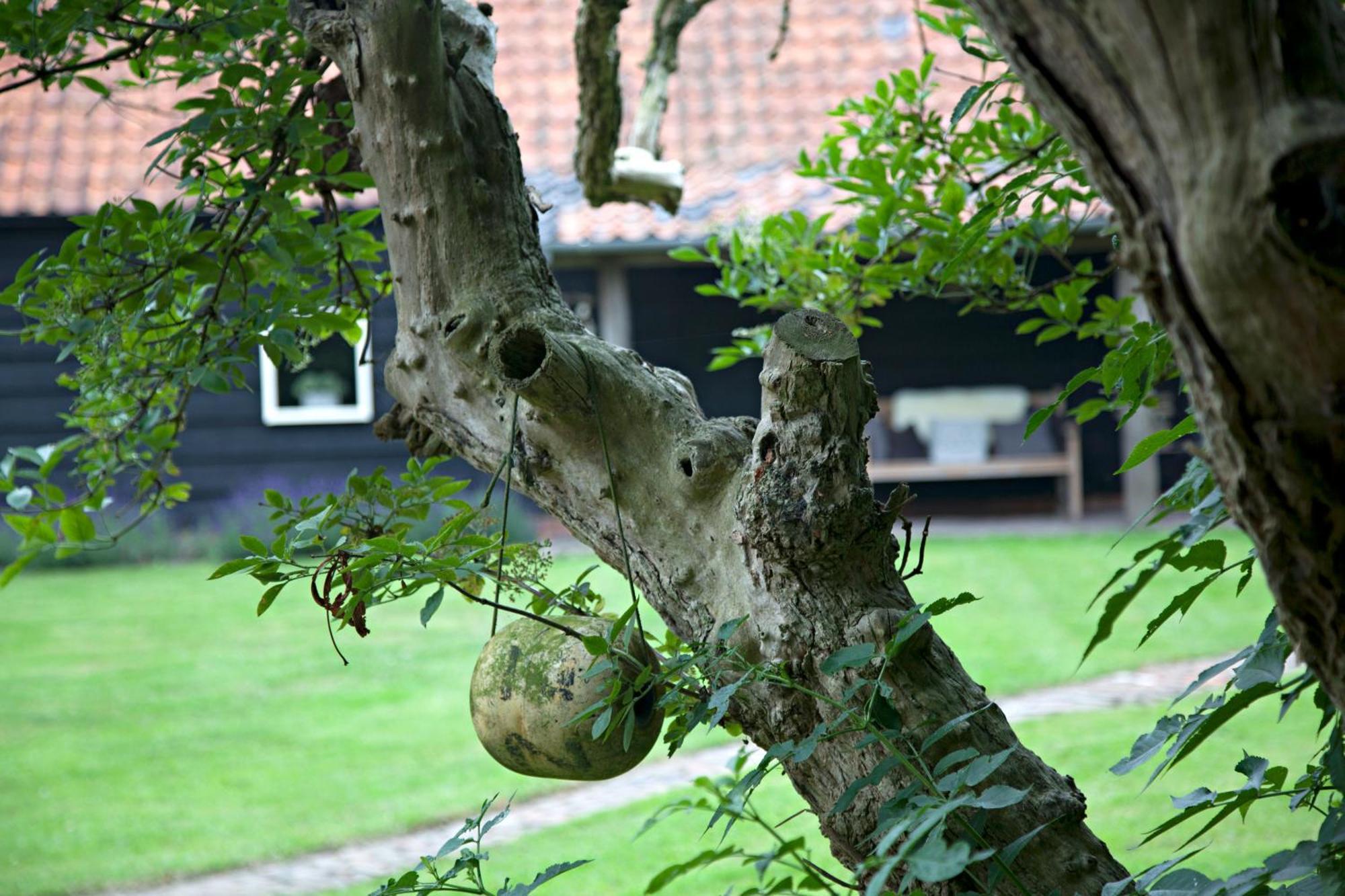 De Zeeuwsche Hoeve Kerkwerve Экстерьер фото