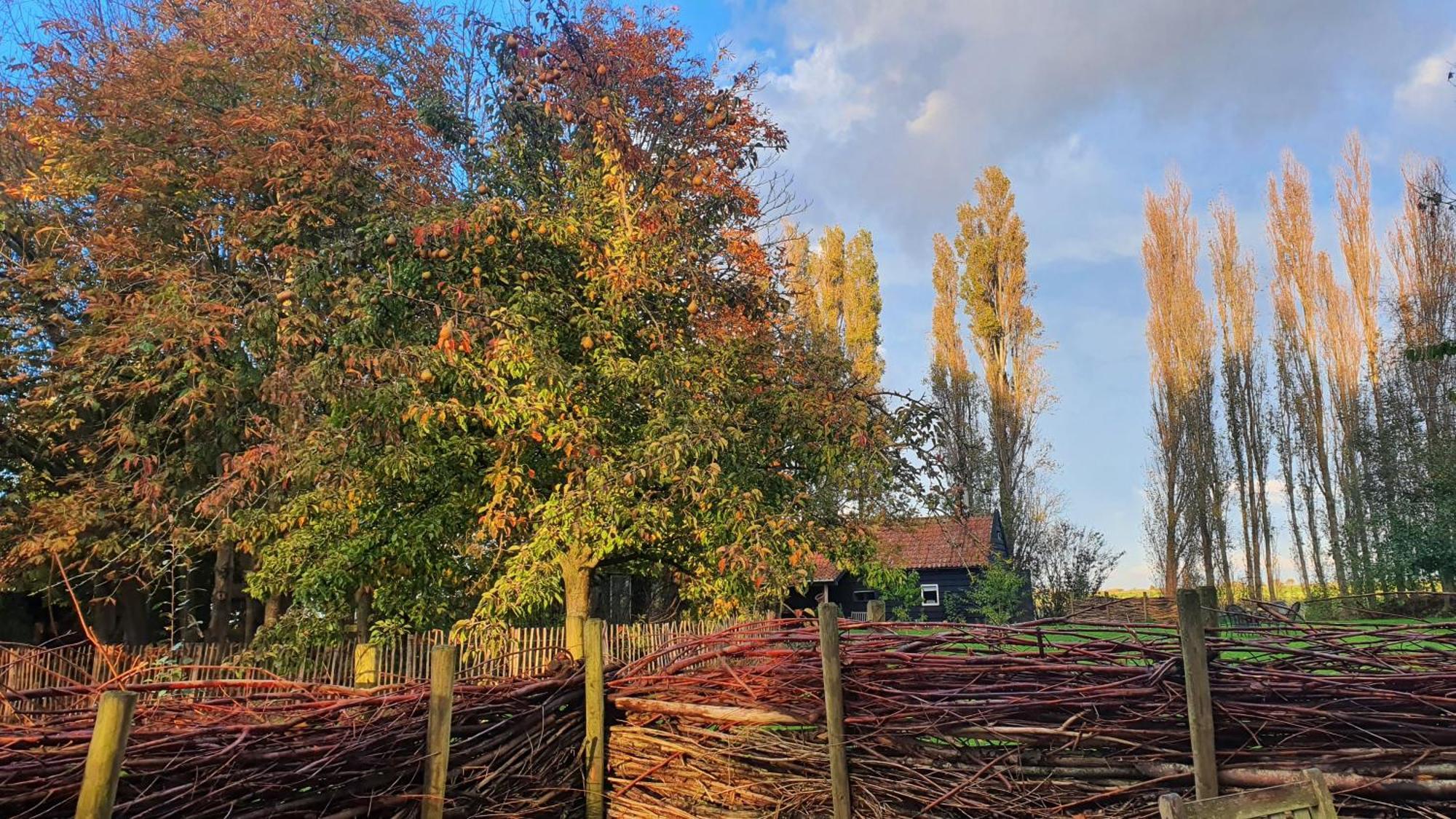 De Zeeuwsche Hoeve Kerkwerve Экстерьер фото