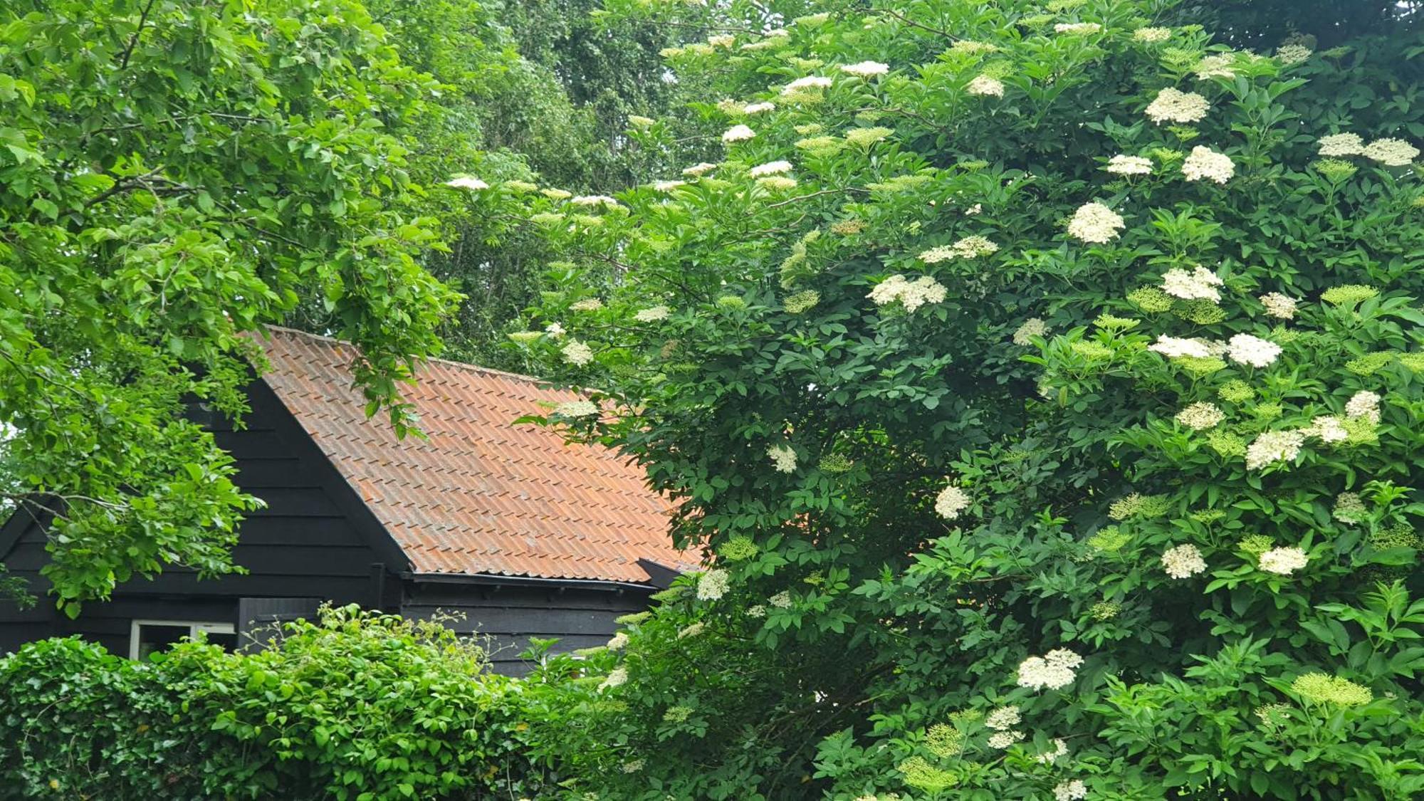 De Zeeuwsche Hoeve Kerkwerve Экстерьер фото