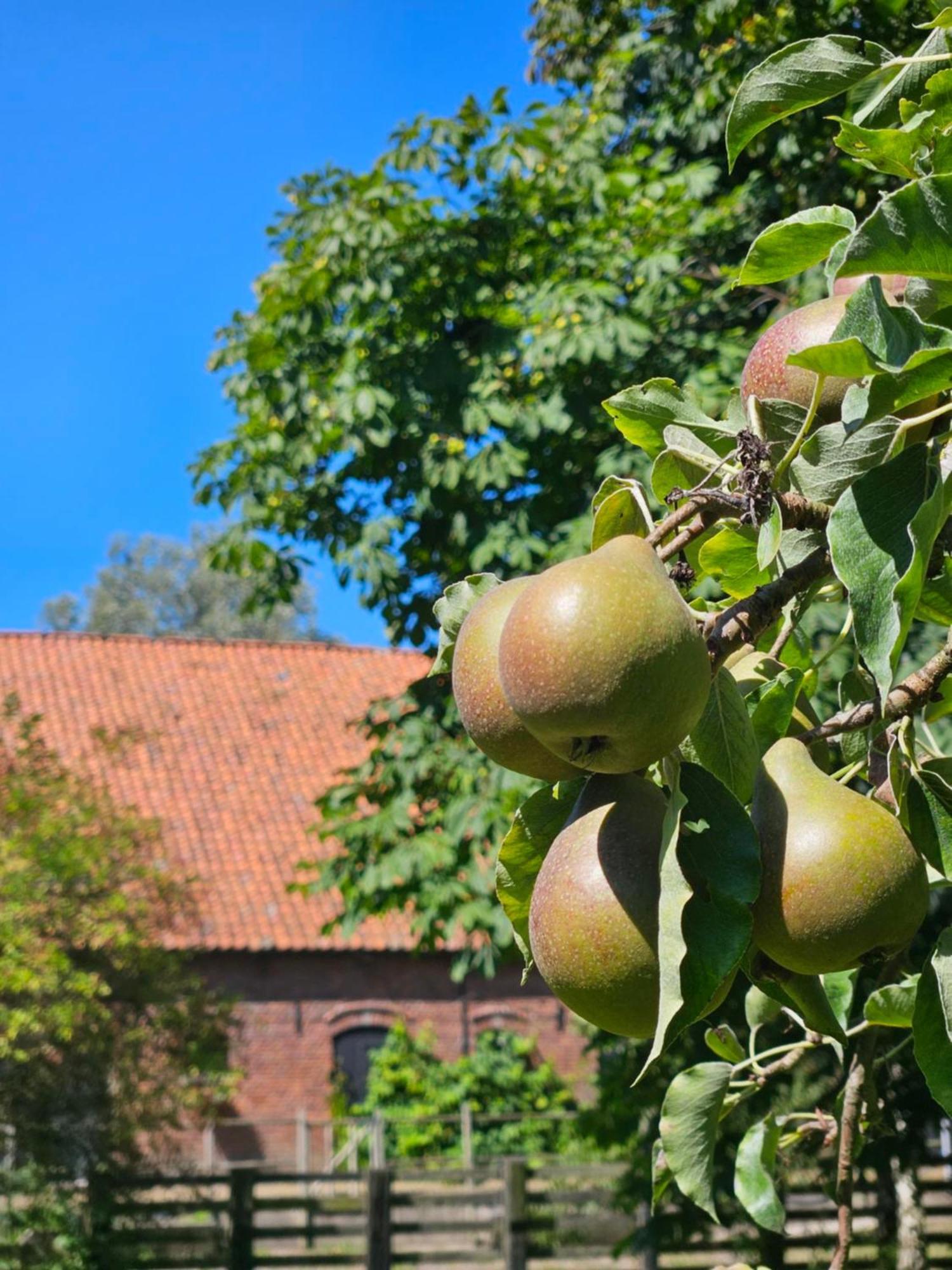 De Zeeuwsche Hoeve Kerkwerve Экстерьер фото